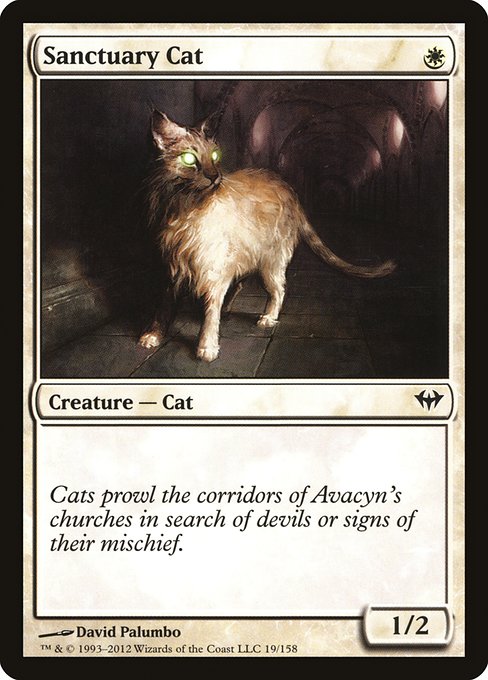 DKA: Sanctuary Cat