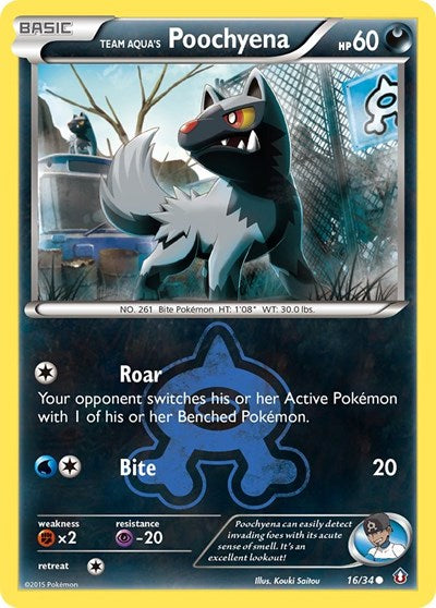 DCR: Team Aqua's Poochyena (Reverse Holofoil)