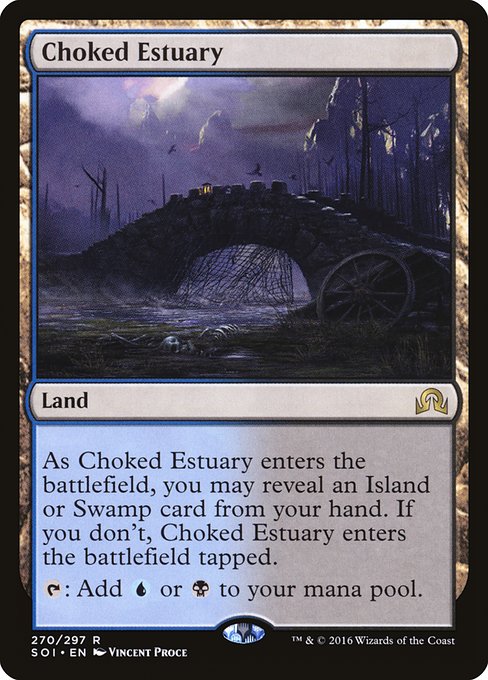 SOI: Choked Estuary