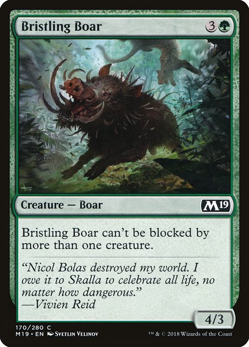 M19: Bristling Boar