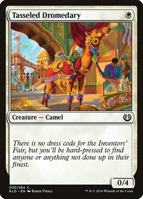 KLD: Tasseled Dromedary