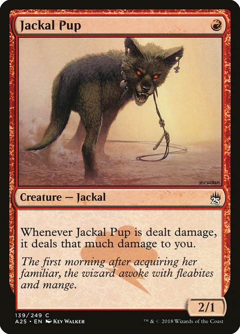 A25: Jackal Pup