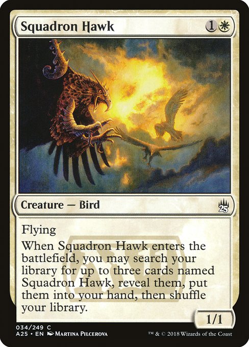 A25: Squadron Hawk