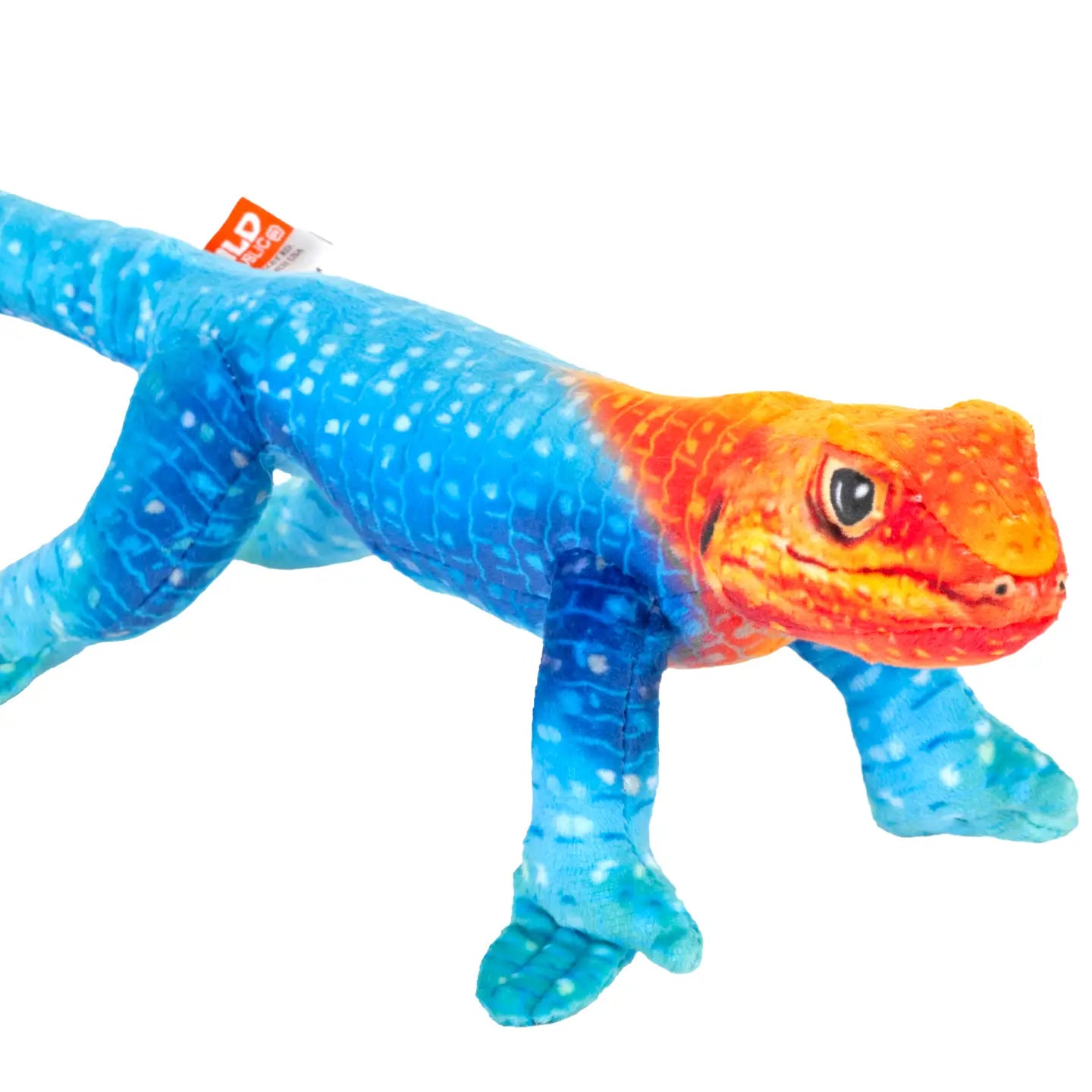 Coilkins Rainbow Lizard 12”