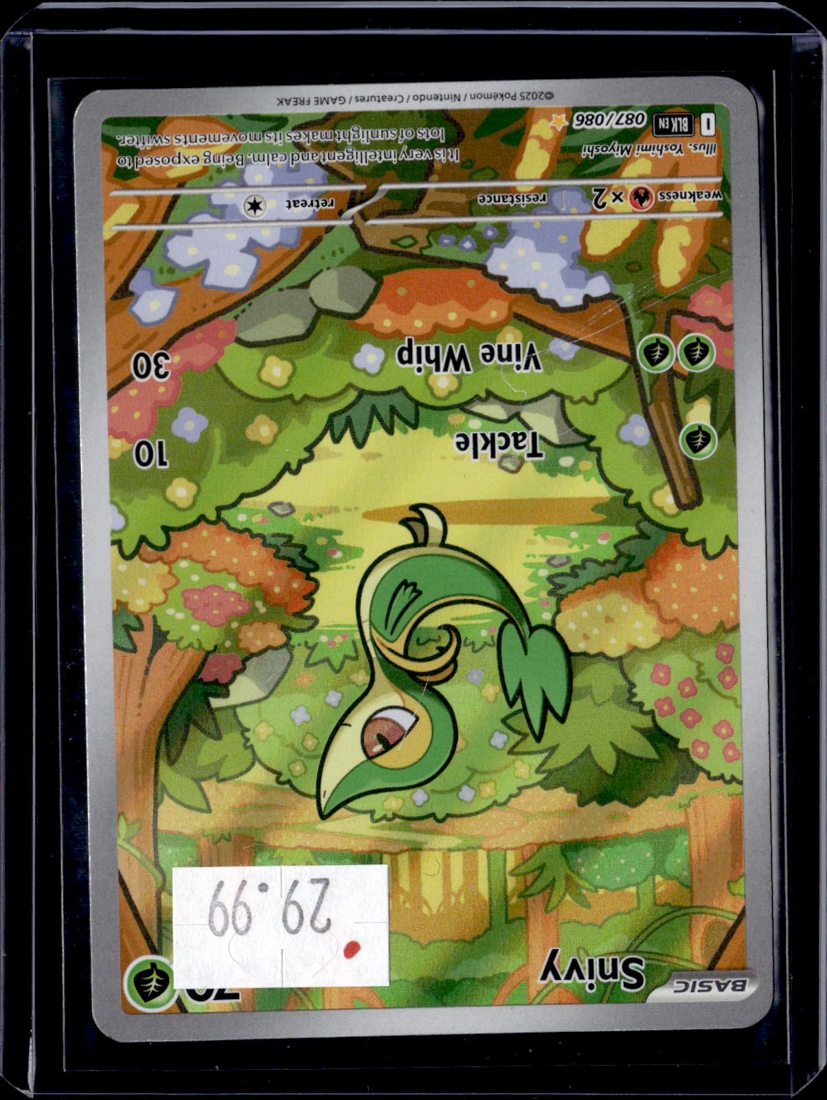 PGCD - 229