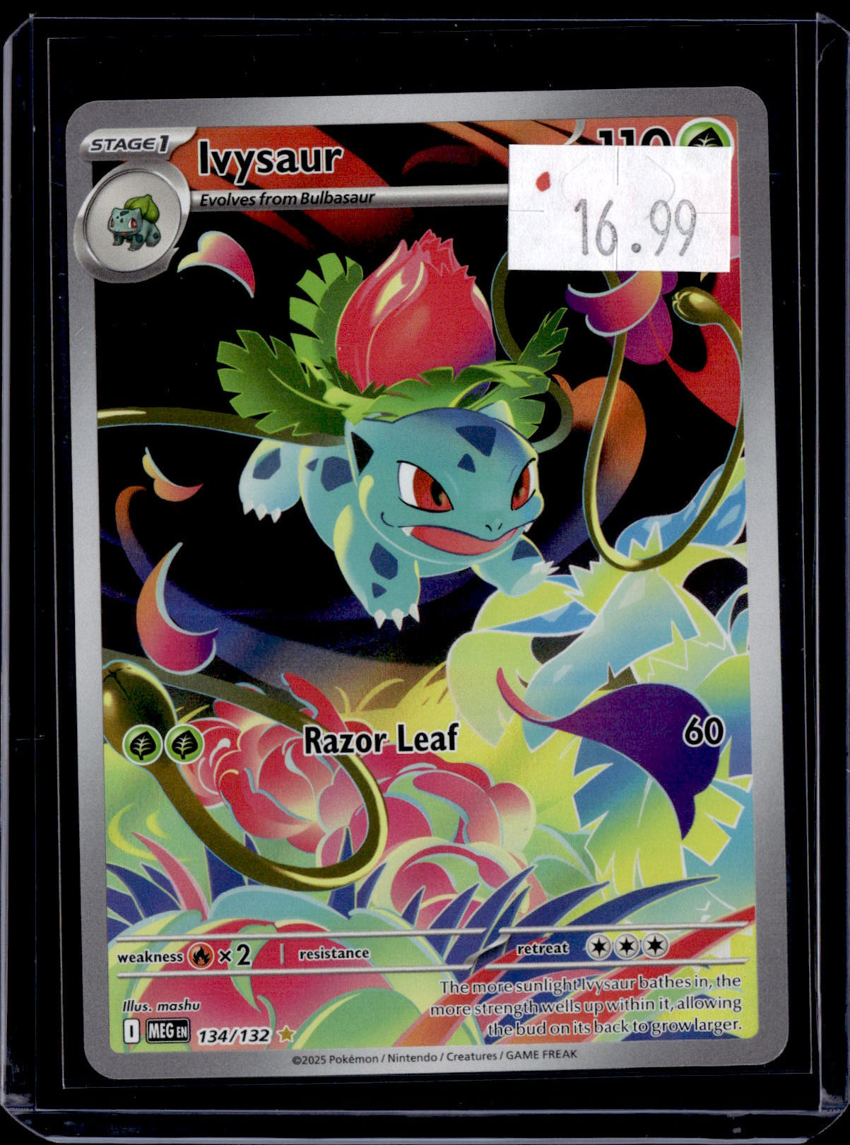 PGCD - 431