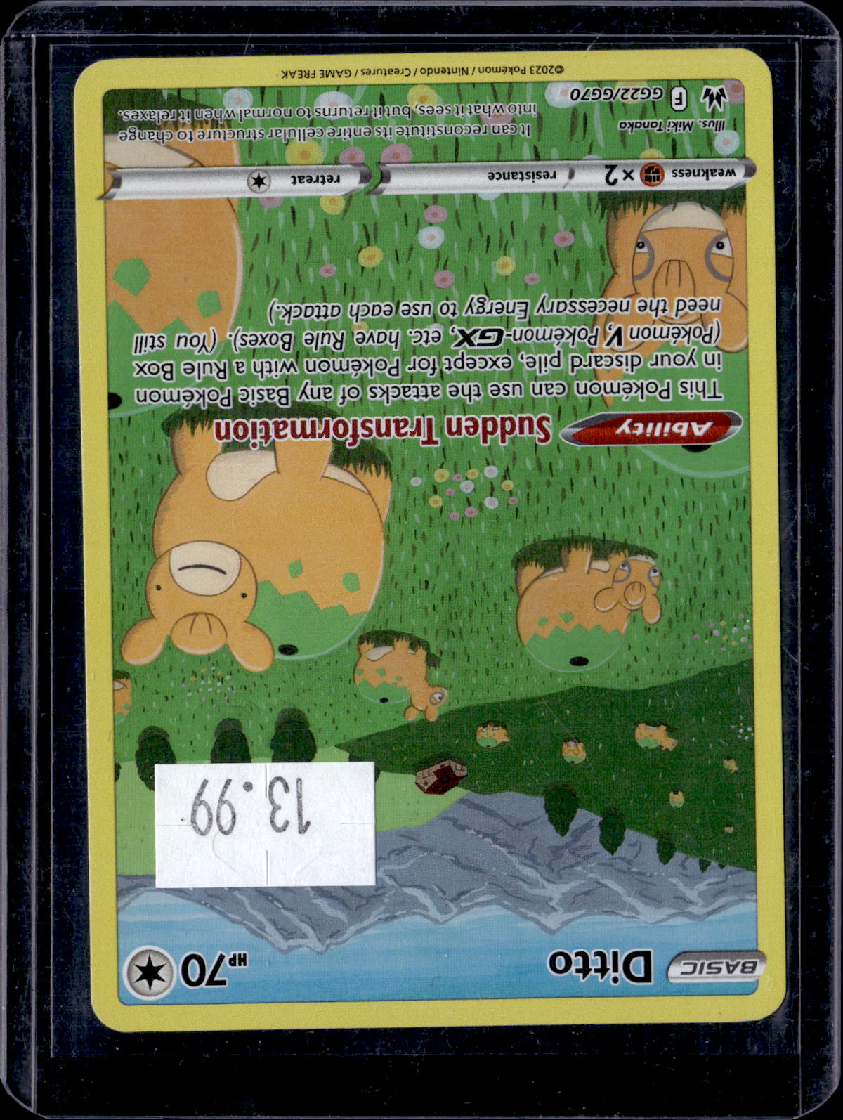 PKKD - 2506