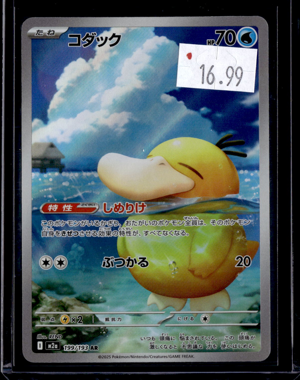 PKKD - 2786