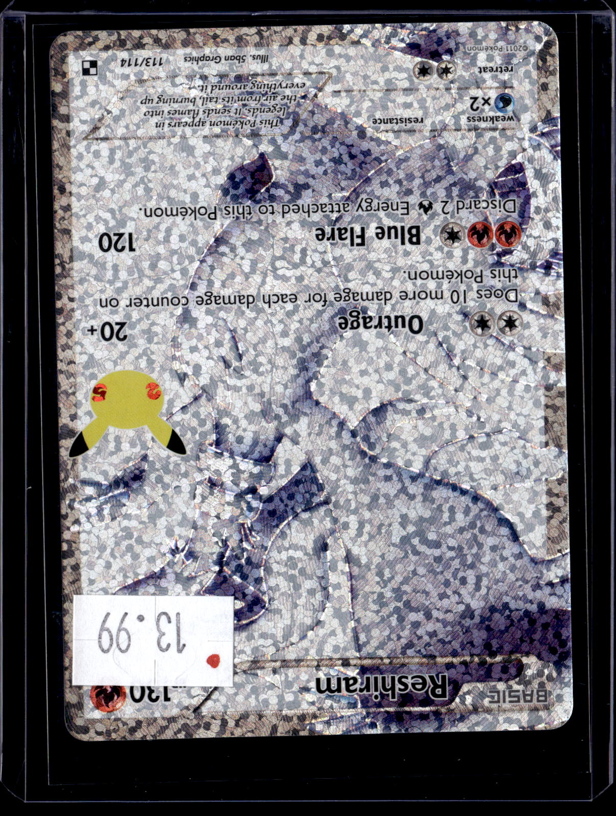 PKKD - 3136