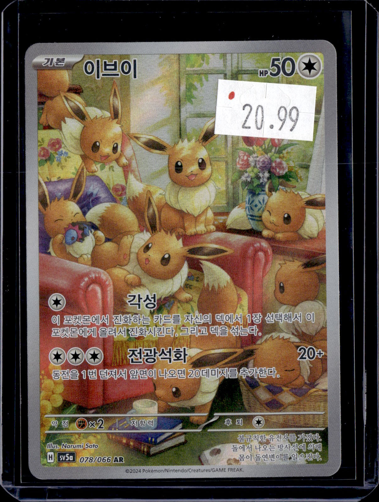 PKKD - 3192