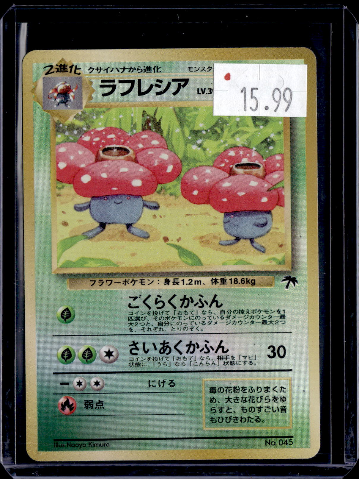 PKKD - 3373