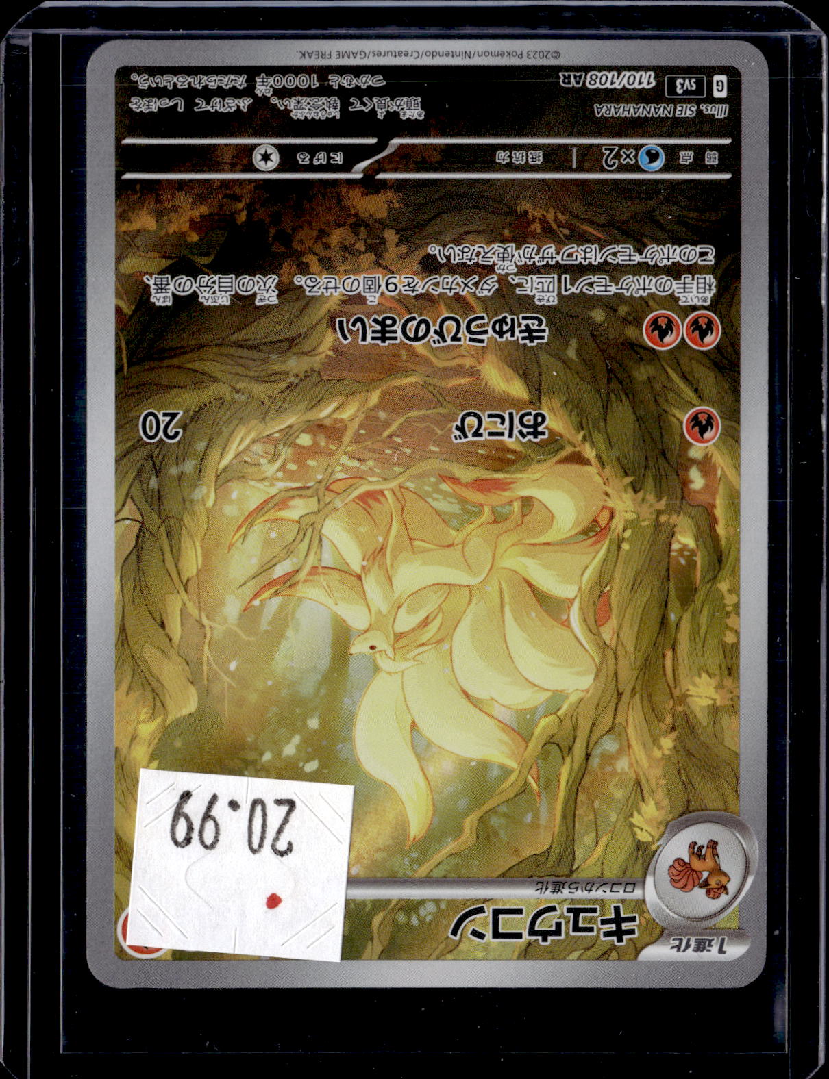 PKKD - 3491