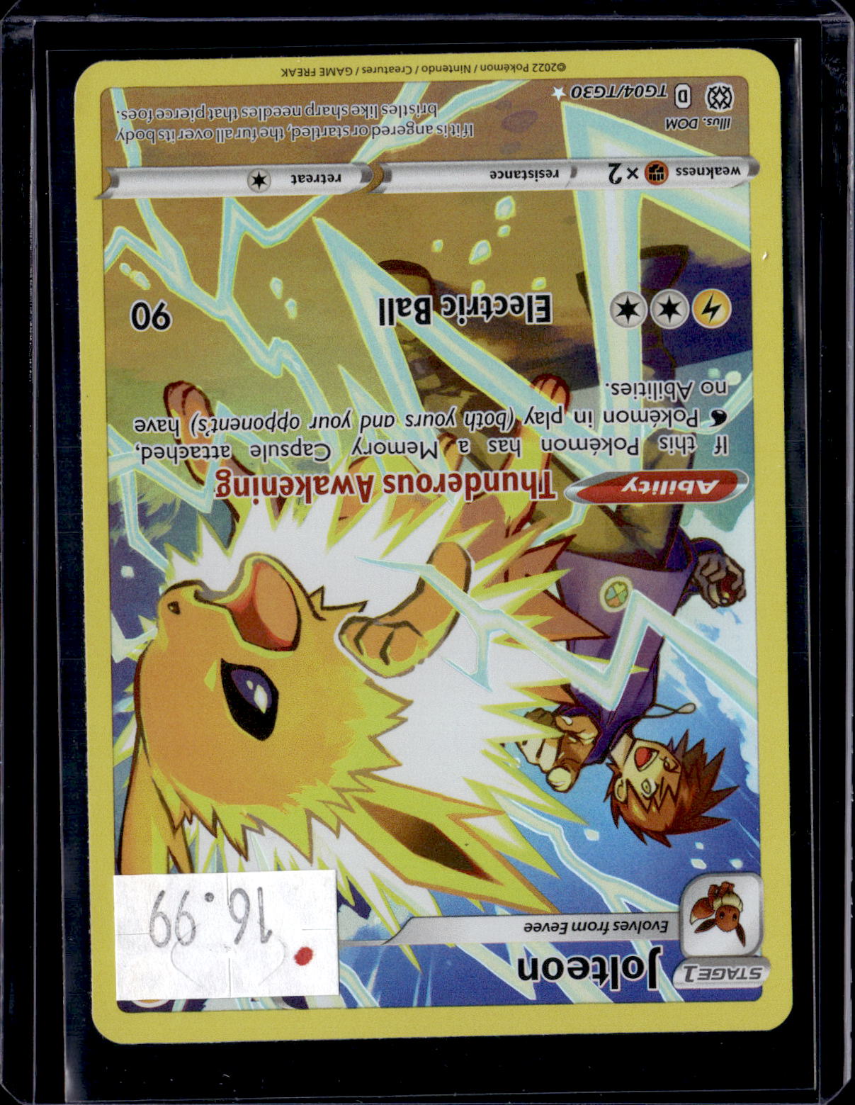 PKKD - 3912