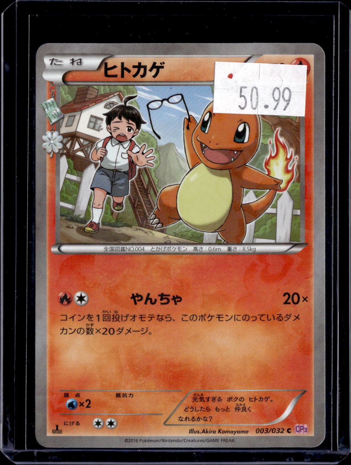 PKKD - 4595