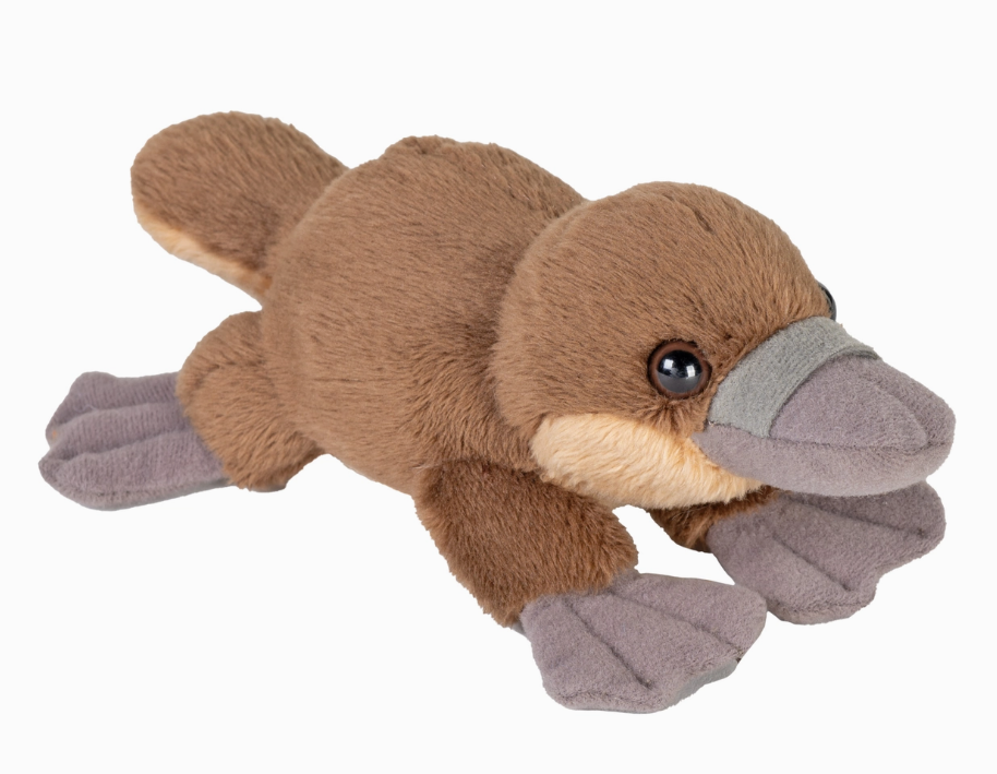 Pocketkins - Platypus Stuffed Animal 5"