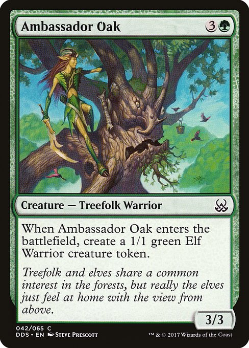DDS: Ambassador Oak