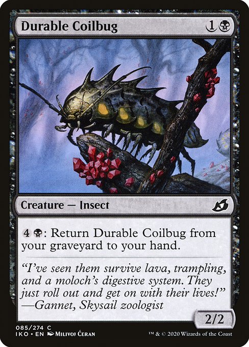 IKO: Durable Coilbug