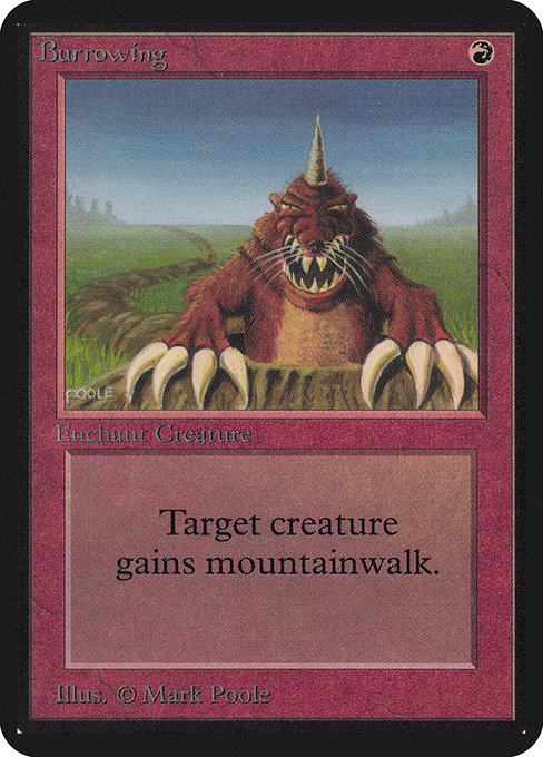 LEA: Burrowing