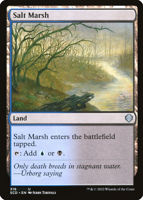 SCD: Salt Marsh