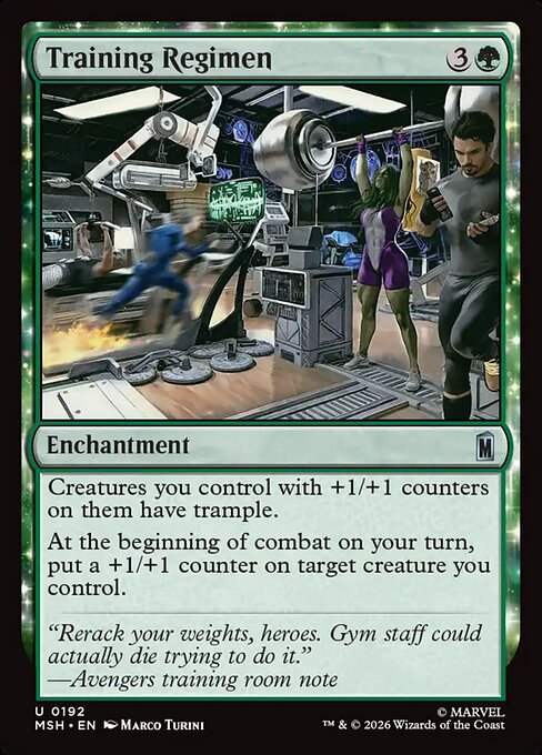 MSH: Training Regimen (Foil)