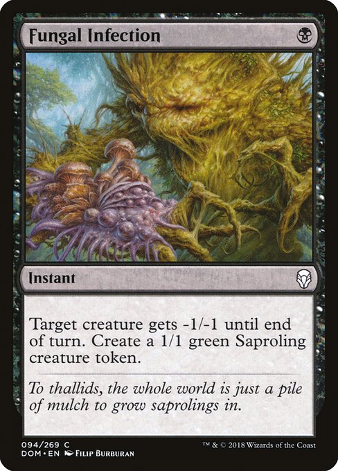 DOM: Fungal Infection