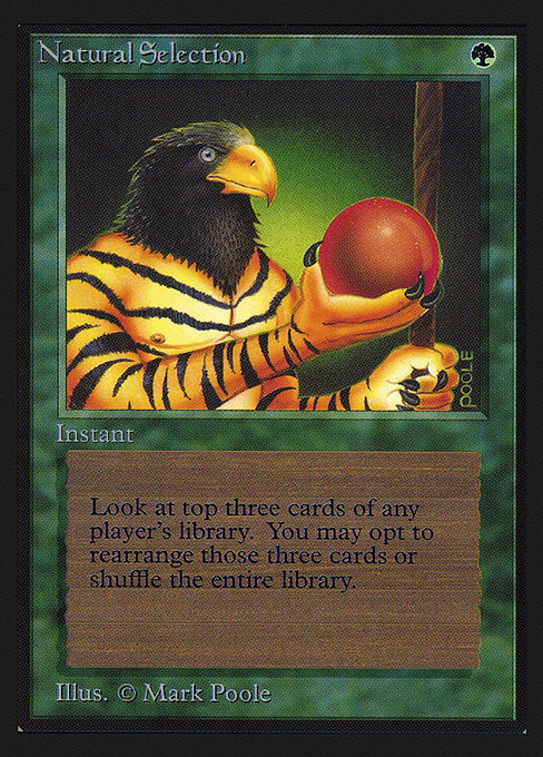CEI: Natural Selection (IE)