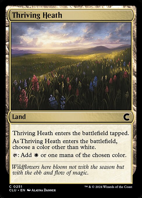 CLU: Thriving Heath