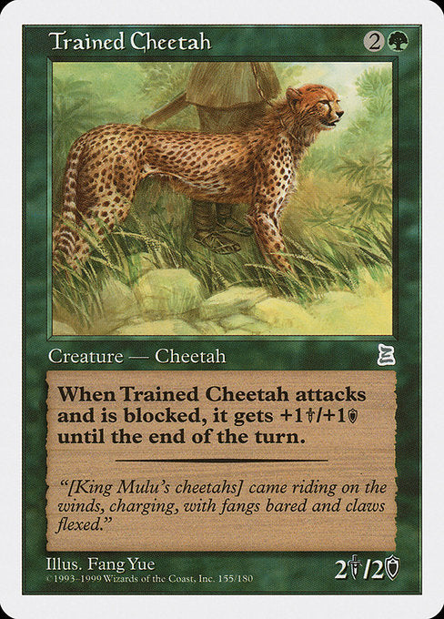 PTK: Trained Cheetah
