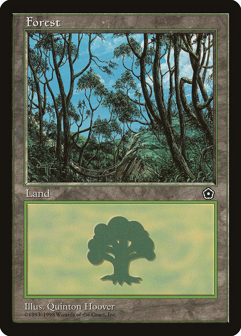P02: Forest (153)