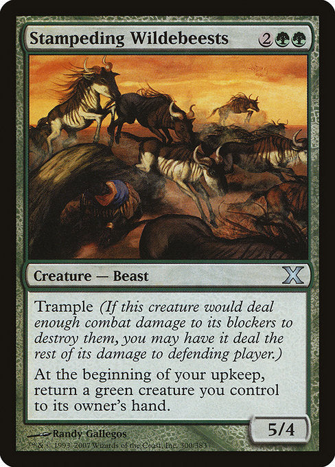10E: Stampeding Wildebeests