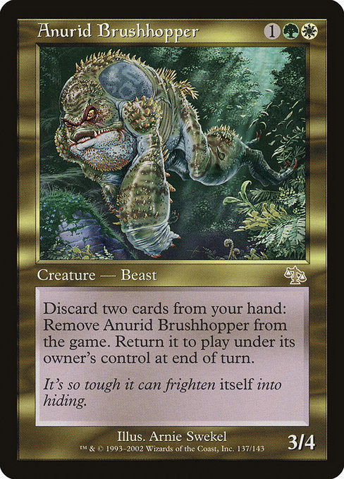JUD: Anurid Brushhopper