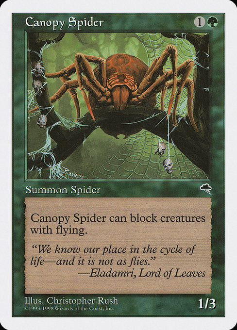ATH: Canopy Spider