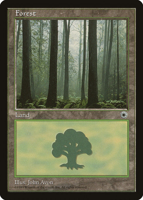 POR: Forest (Ferns on Ground)