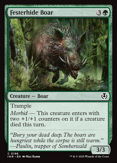 INR: Festerhide Boar