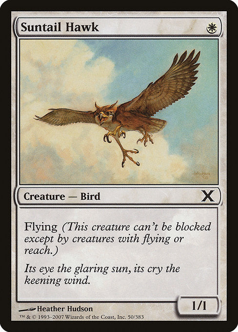 10E: Suntail Hawk