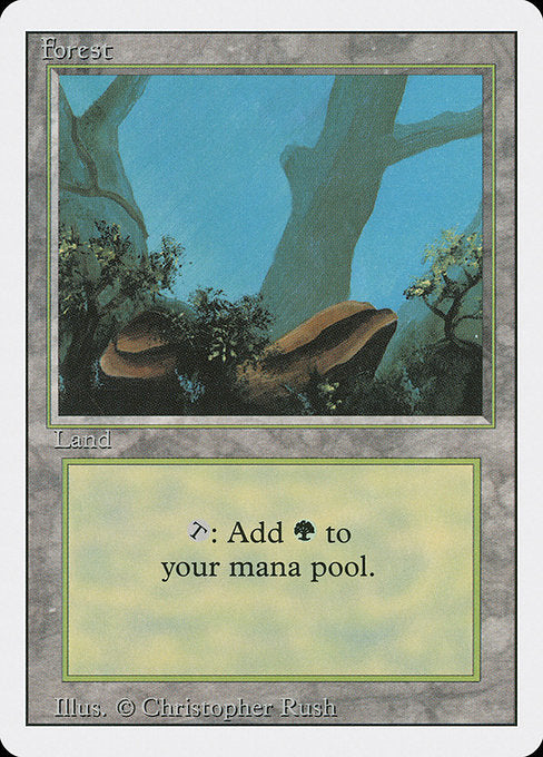 3ED: Forest (A)
