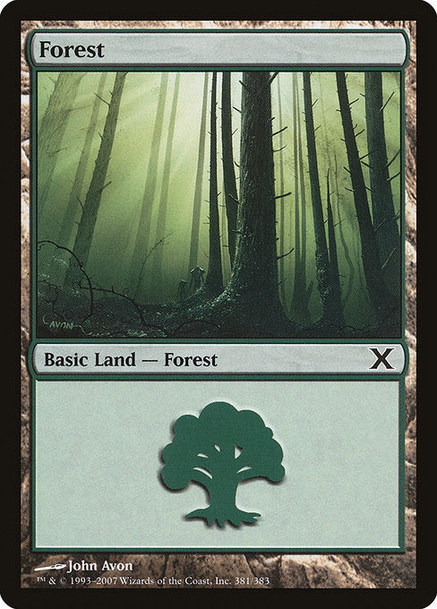 10E: Forest (381)