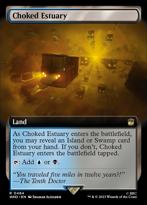 WHO: Choked Estuary (Extended Art)