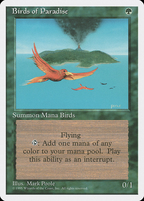 4ED: Birds of Paradise