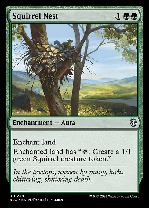 BLC: Squirrel Nest