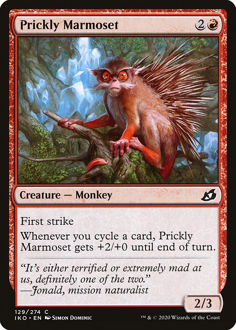 IKO: Prickly Marmoset (Foil)