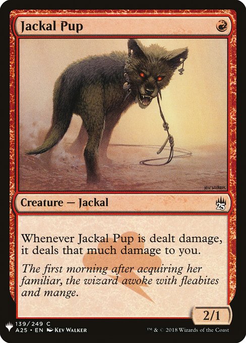 PLST: Jackal Pup