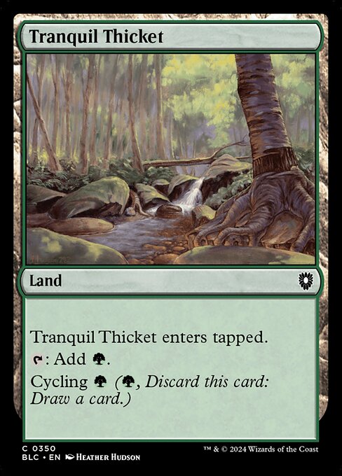 BLC: Tranquil Thicket