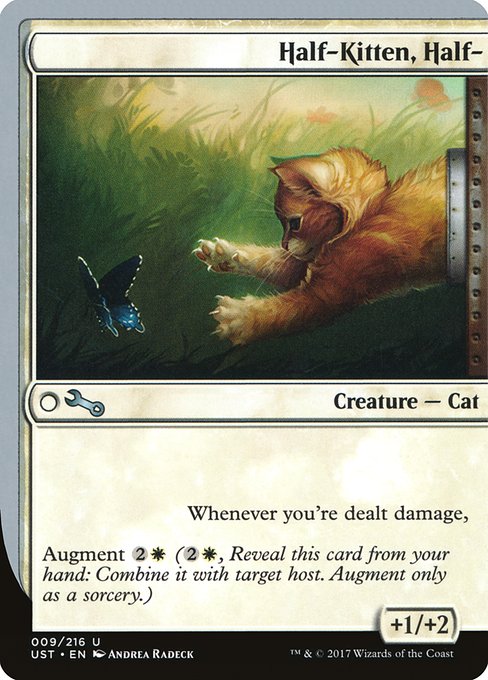 UST: Half-Kitten, Half-