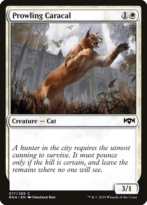 RNA: Prowling Caracal (Foil)