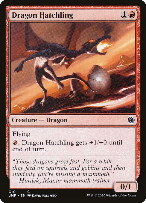 JMP: Dragon Hatchling