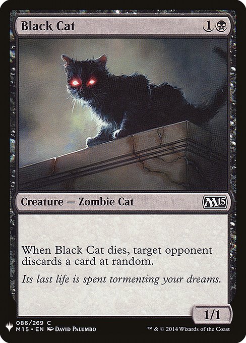 PLST: Black Cat