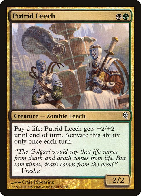 DDM: Putrid Leech