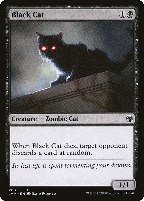 JMP: Black Cat