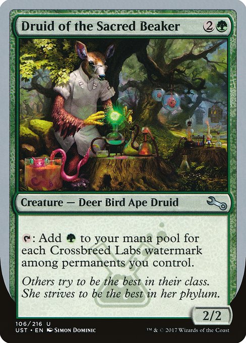 UST: Druid of the Sacred Beaker